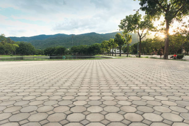 Best Professional Driveway Pavers  in Roanoke, TX