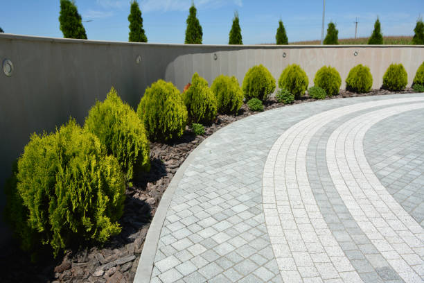 Reasons to Select Us for Your Driveway Paving Requirements in Roanoke, TX